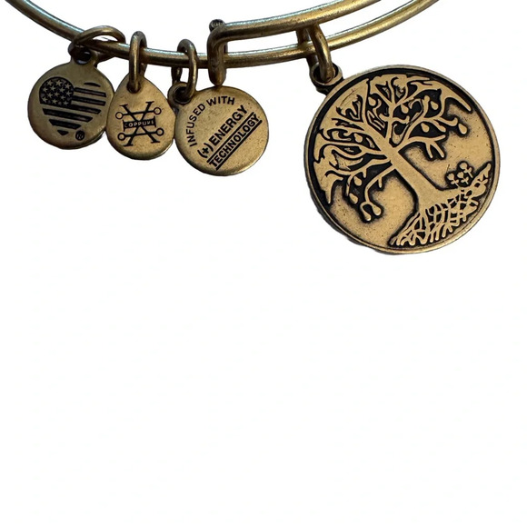 Alex and Ani Gold Bangle Bracelet - Family Tree - Picture 3 of 4